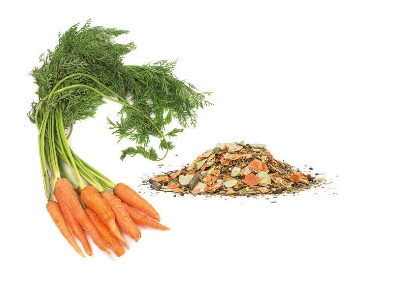 Gesunder Gemüse-Kräutermix